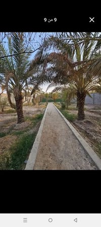 بستان • ١٠٧٠م • يطل على نهر