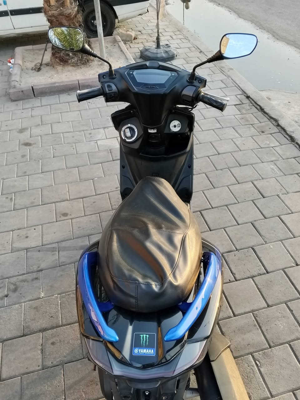 سكنس • ياباني • ٢٠٢٣
