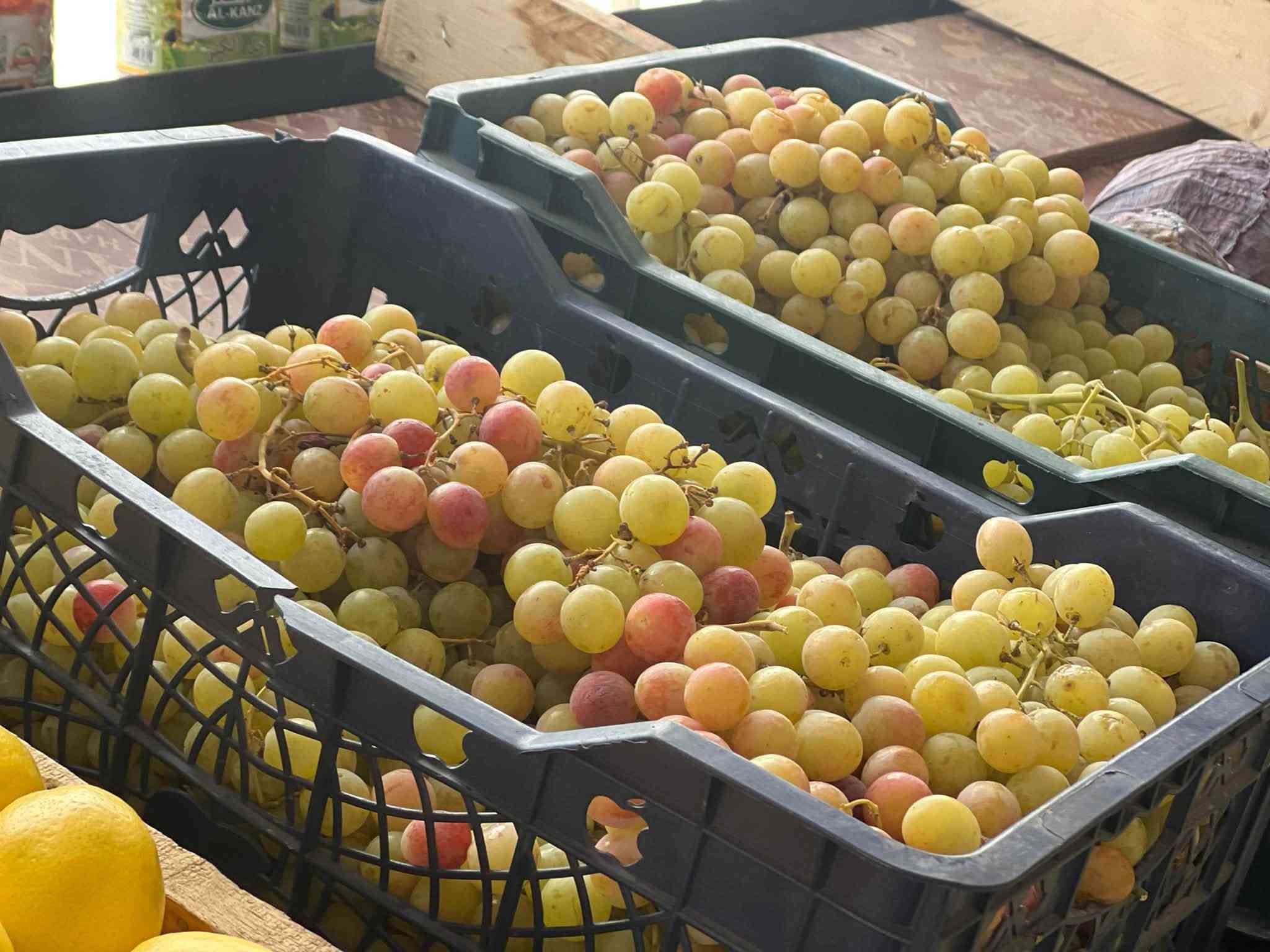 عروض وخصومات • توصيل • الدوانم