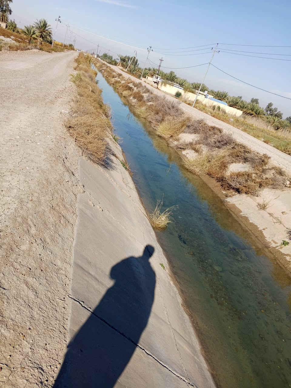 ٥ دوانم • طابو زراعي • سند ٢٥