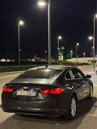 ماليبو فول • ٢٠١٨ • شقلاوة