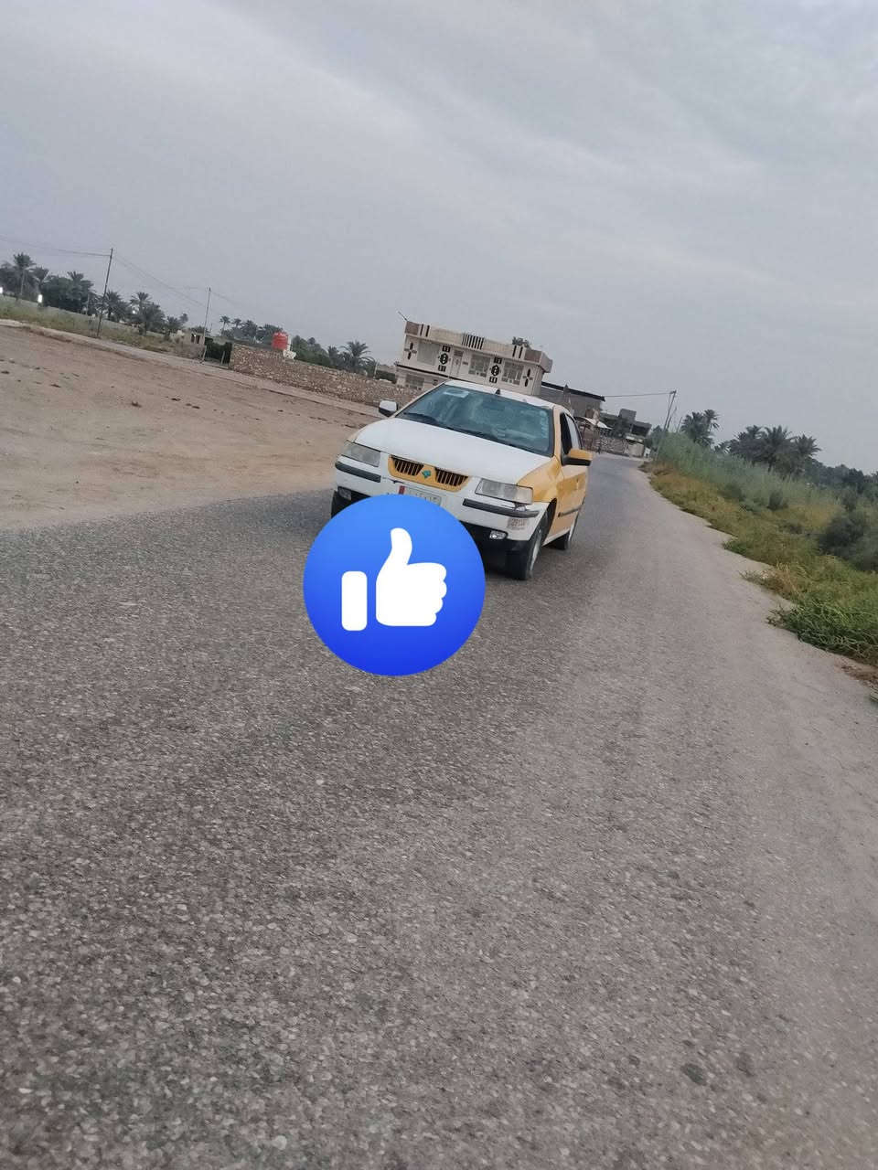 مراوس • للبيع • بابل