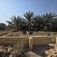 السياحي محله العتايج • ٣٠٠م • سند ٢٥