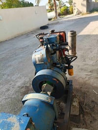 مولدة هندي • ٧ ونص • شغالة