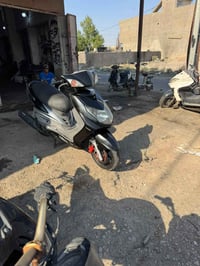 سكنس فحل • نوزل • كفالة عامة