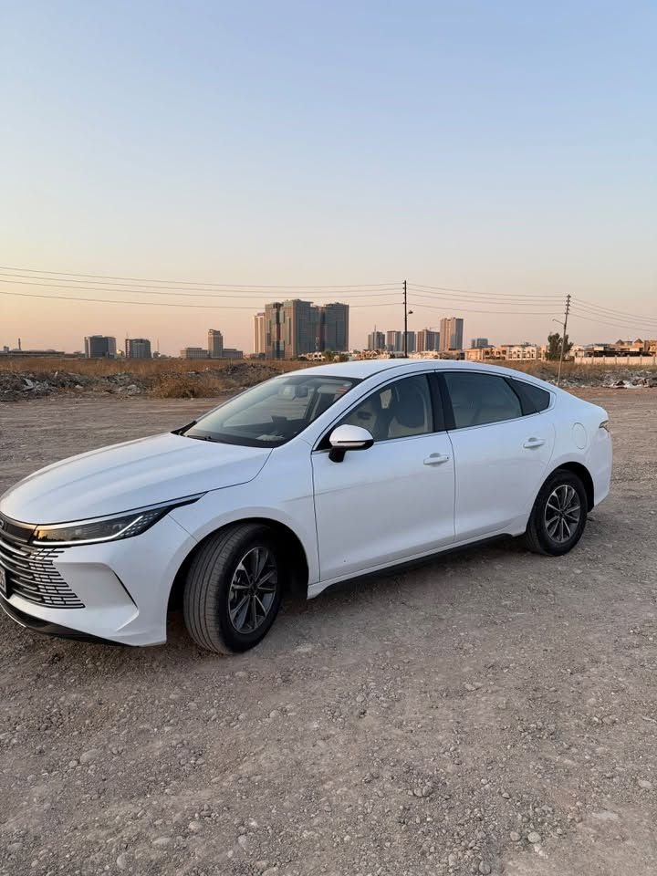 Byd destroyed 05 2025
رەنگ سپی 
 ٣٤ هەزار رۆییە رەقەم هەولیرە 
رەقەم و سەنەوی نوێیە  

چامرغی سەکن رەشەو سبوغە  دەرکەی سەکن بە بیلادی گۆرایە و یەک بست pdr لەسەر چامرغی پشتەوە هەیە ئیرباگی بە شەرت نەتەقیە  ژورەوەی نەگرتیە 

 تەزرە شەپۆل گیر مەکینە کارەبای  شانسی ژورێ هەموی بە شەرت  

رقم مۆبایل
واتس اپ ***********
