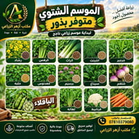 بذور شتوية • جملة ومفرد • الناصرية