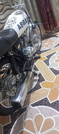 رابيدو • بدون اوراق • فول فصله