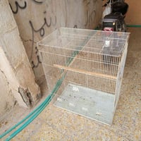 خانة ام طير • نجف • ١م×١م
