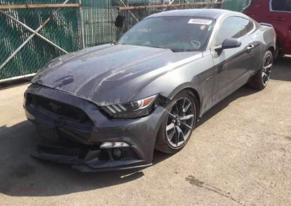 السلام عليكم
موستنغ GT 5000 بريميوم اعلى فئة

بريميوم اعلى فئة بالموستانغ شنو البالك بيها السياره 
مصروف عليها شغل ب ٥٠ ورقه 
تحويل ثاني يوم 
موستانغ GT محرك 5.0 كايوتي 8
موديل 17 بريميوم فول مواصفات للأخير 
صبغ خمس قطع ابيع حزام 
مودات قياده 4 مودات
شاشة كبيرة  
دمامات شيگر وبالصندوق هم كذلك شيگر
مودات ستيرن 3
كشنات كهرباء
ميموري خزن كشن ٣ وضعيات
سماعات شيگر
دكتات تبريد مارسيدس
تبريد كشنات 
تدفئة كشنات 
حساسات مري مع الاشاير
تشغيل عن بعد 
دشبوك متغير ألوان على تطبيق الهاتف
لدات خارجيه متغيره على الريموت
دواخل كاربون فايبر 
درگة D كاربون فايبر 
غطاء مري باتمان كاربون فايبر 
ويل هنسي
اويل كاج
سبايدرات ودوسات جنح
بوري وحلوك كورسا
وسطيات يم علي الوادي 
دبات فلو ماستر صوت رعب تحكم بوابات 
مكاني بغداد منصور 
رقمي***********
اخواني رجاءاً كلشي ذاكر بالمنشور تحياتي ❤️

نص مكتوب في الصور:
- 48068107