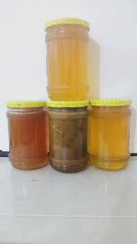 عسل البرسيم • قداح