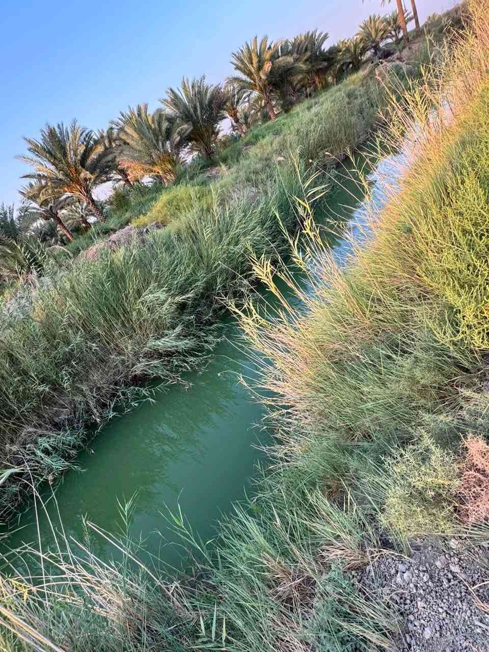 دونم مزرعه للبيع خدمات كامله  خلف جامعه بابل  سند 25 فاتح بيان تحويل مباشر
@السعر مناسب جدا   للاستفسار اكثر 

***********  فائز التميمي
