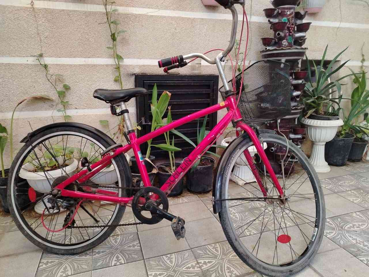 بايسكل • مقاس ٢٦