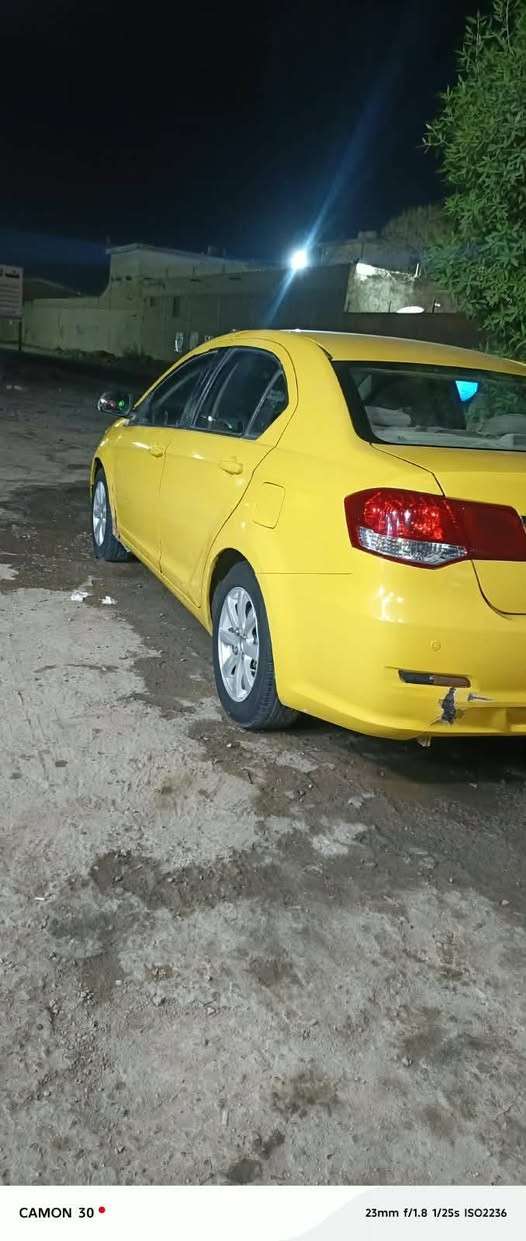 ٢٠١٣ • رقم بابل • صبغ عام