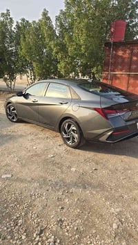النترا ٢٥ • ٢٠٢٥ • بدون صبغ