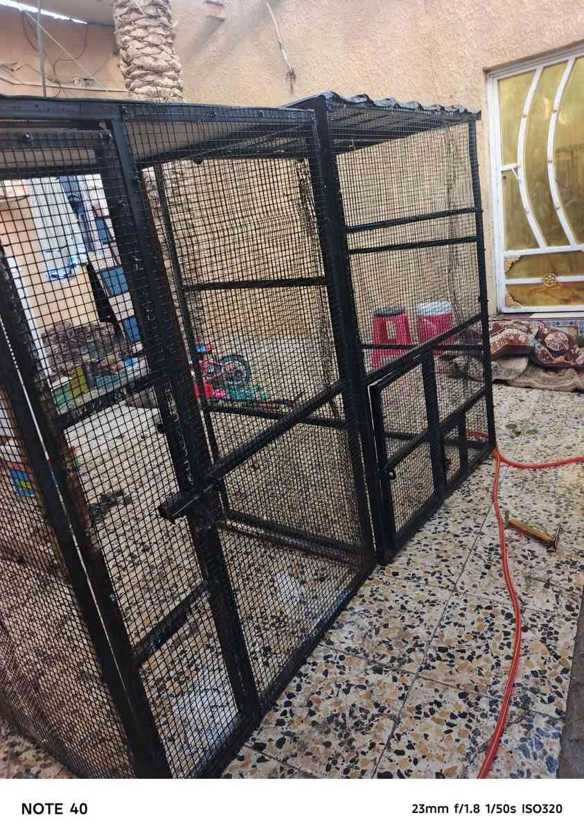 سلام عليكم قفاص حديد للبيع سقف جينكو مصبوغ كله اسود لقفص قوه فول قفصين هوه واحد ينشد عل حايط فيشر واحد تريده بصف ثاني او تريده بزاويه يرهم قفاص كله حديد شغل درجه اوله سعرهن 90 مكاني لهارثه مفرق سيد طاهر
