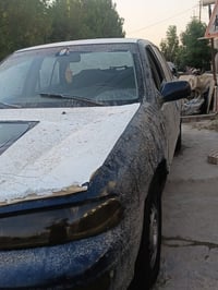سيفيه • ١٩٩٥ • رقم بابل
