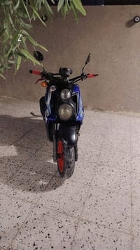 سكنس جبلي • مكفوله • العبيدي