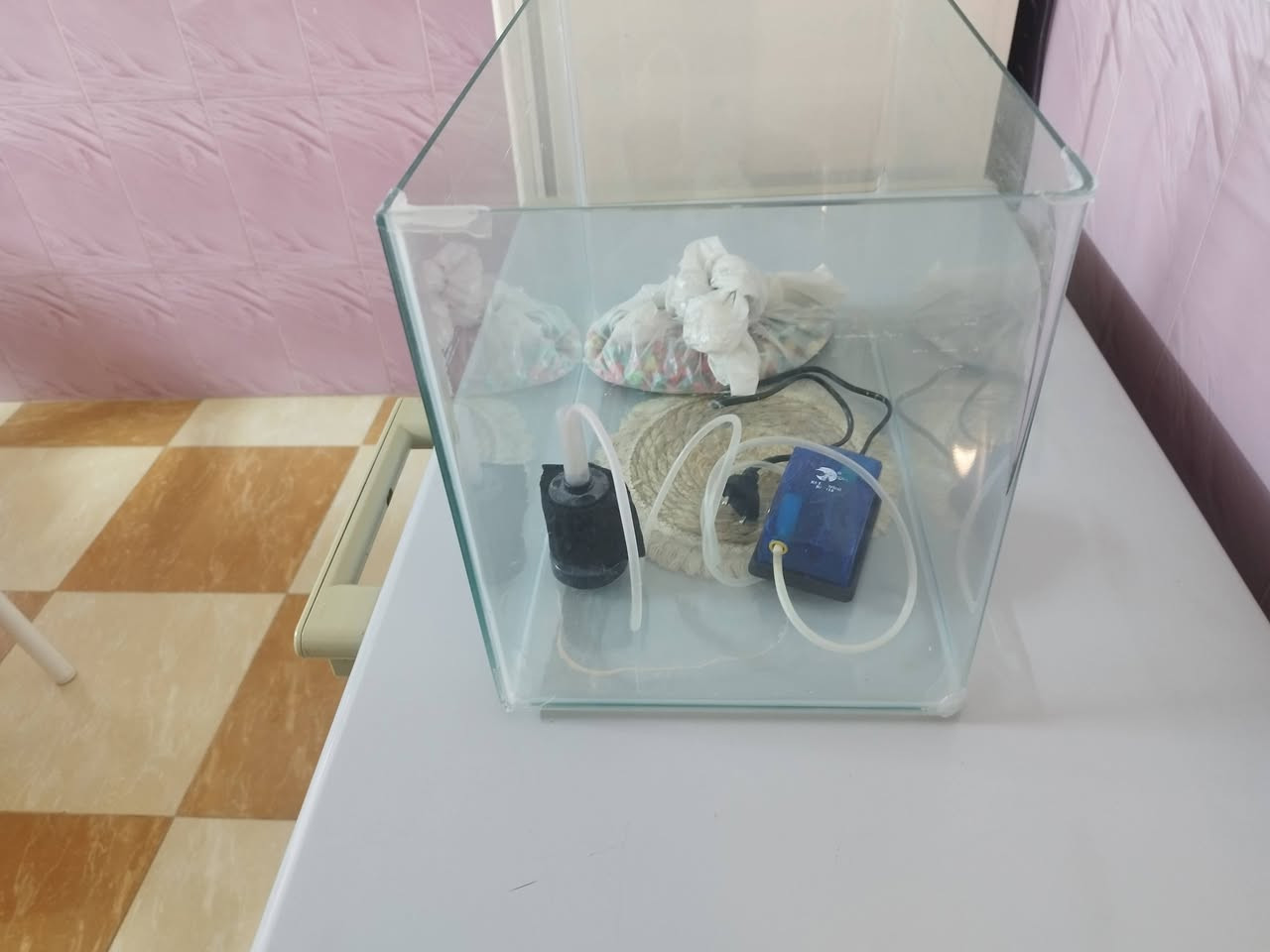 حوض سمك وماطور وحصو البيع كامل مامي عيب سعر ١٥ الف قفل ***********
