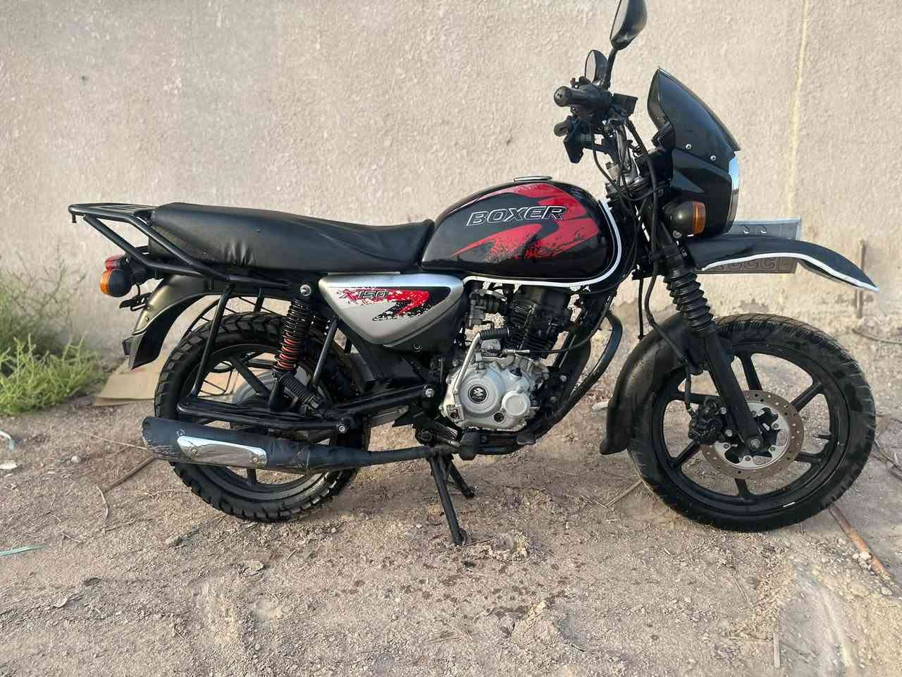 بوكسر جبلي • موديل 23 • رقم وسنويه
