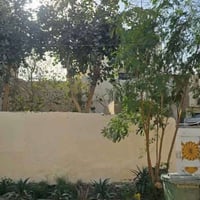 الجمعيه • طابو صرف • ٢٢٠م