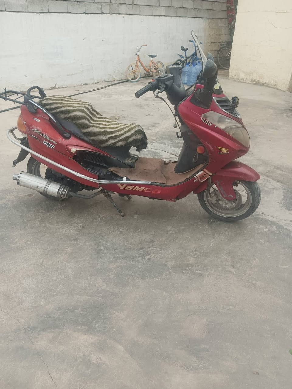 يوبن 13ارنب • سلف • مستعجل