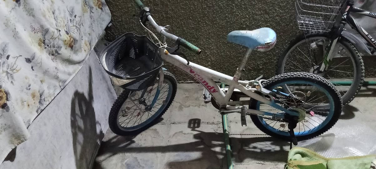 غراض للبيع مكانهن بغداد حي الجهاد الاتصال على هذا الرقم
***********

