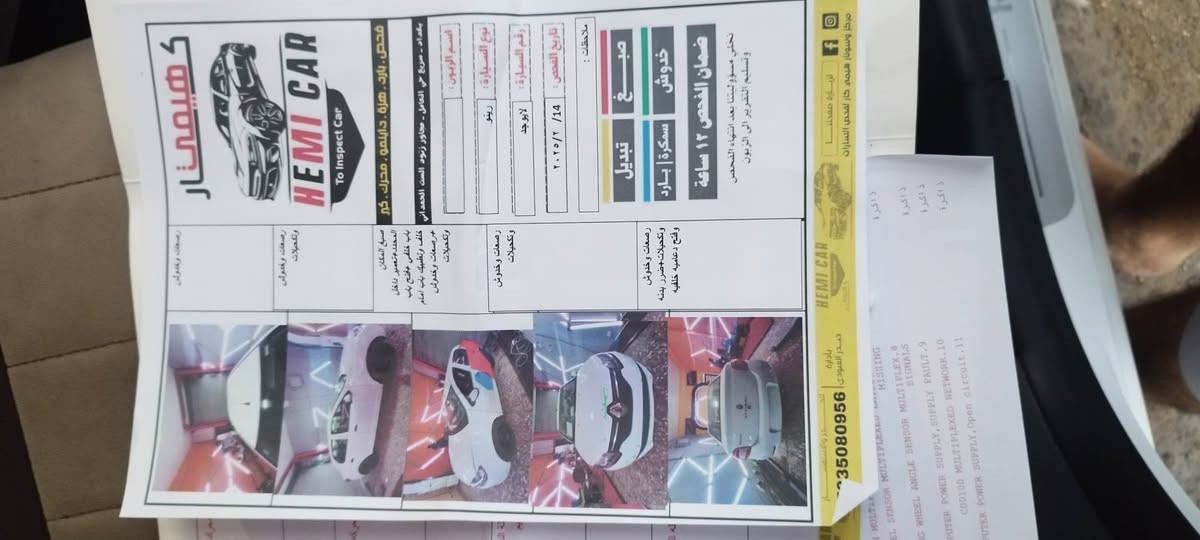 رينو سمبل • ٢٠١٧ • الدورة