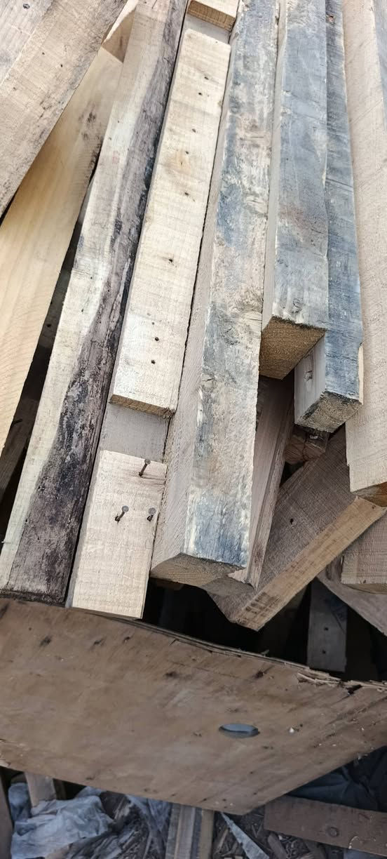 كميه سير نضيف
للأستفسار خاص او الاتصال/***********
