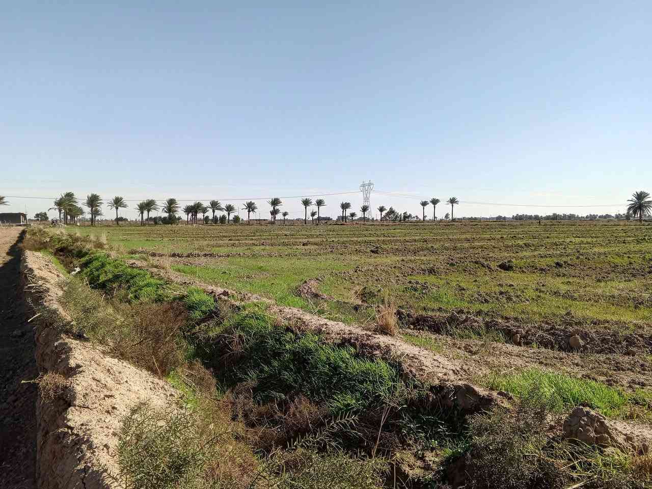 ارض زراعية للبيع مساحة الأرض 10 دونم طابو 25 العزيزية واسط مشروع الفداء تبعد من طريق كوت بغداد 1 كيلو ***********
