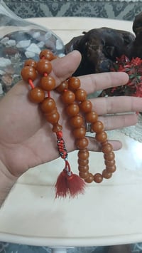 جزري قديم • مغلف • توصيل