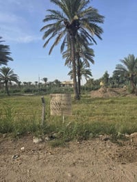 الراشدية • ٢١٠م • واجهة ١٠م