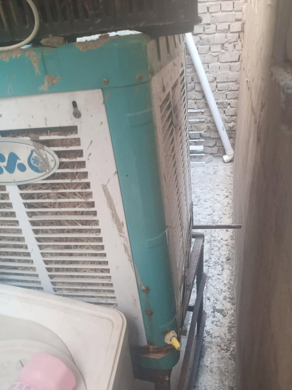 صباح الخير غراض لبيع كلمن وسعر
