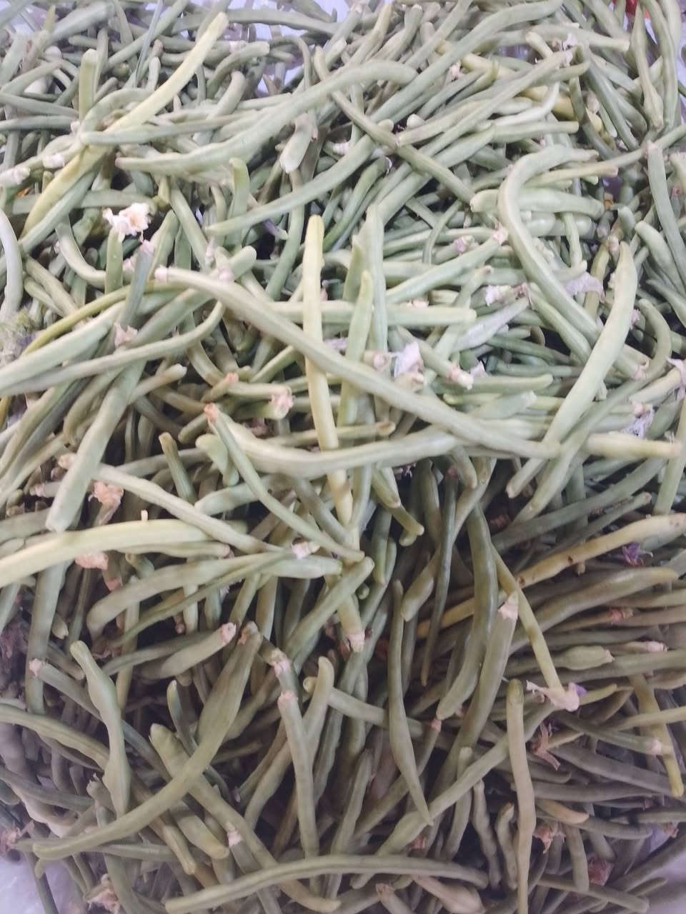 ريحان • ٣كيلوات • طويريج