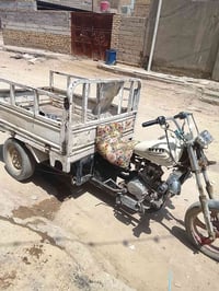 ستوته • اسود • بيه مجال