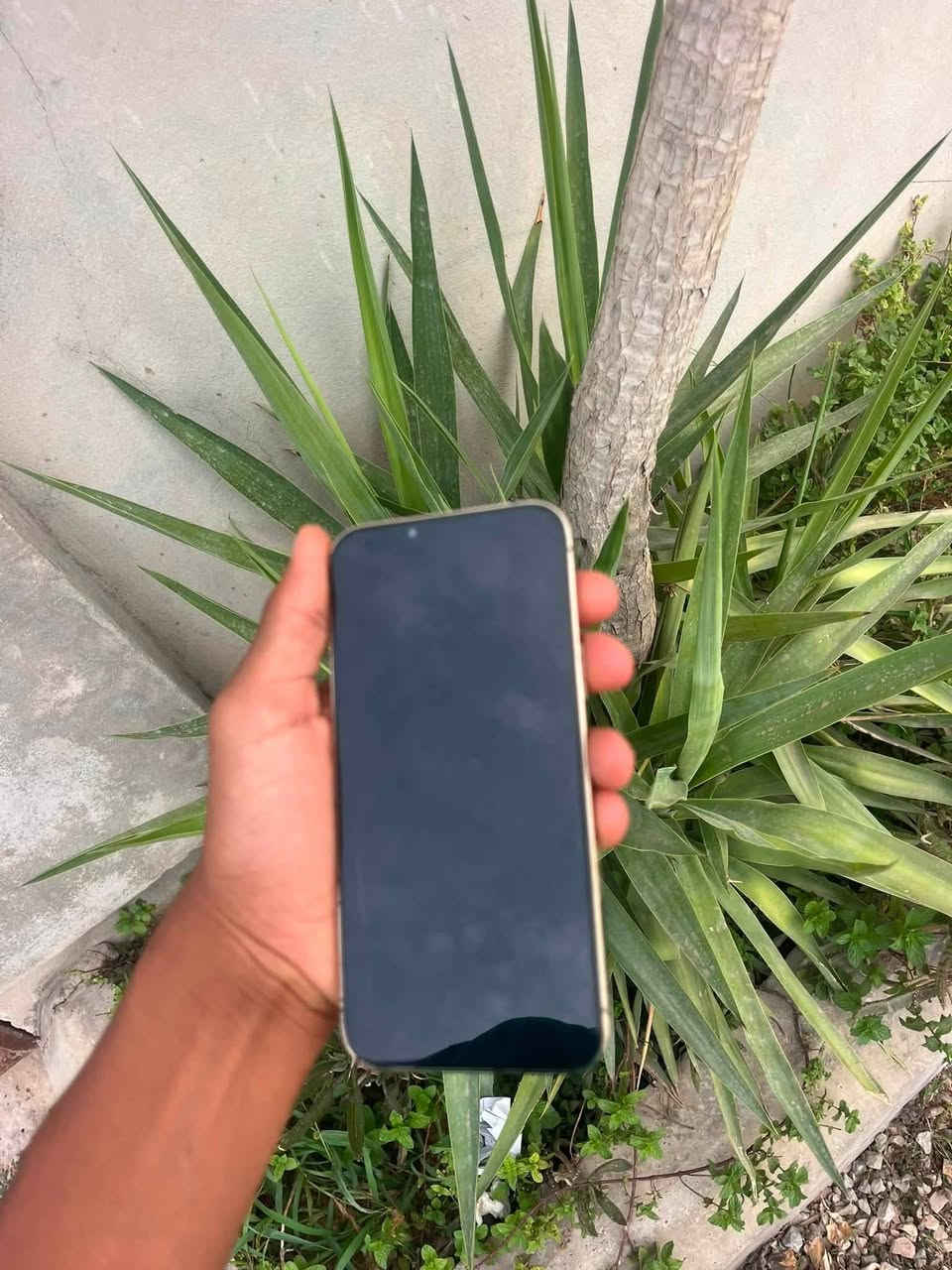 ايفون 13 برو ماكس ذهبي امريكي ذاكره 512 بطاريته 74 بلاديه 
بي قطعه مبدل  مسج من ابل يعني مكفول ما مصلح ب عراق من شركه ابل للبيع ففط مكاني بابل  توصيل ماكو  سعره 650 
شراي يراسلني خاص
