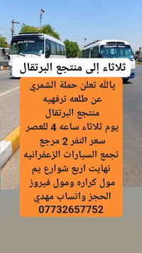 منتجع البرتقال • ثلاثاء • تجمع السيارات الزعفرانيه