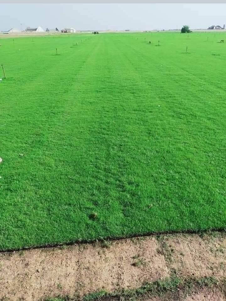 🌳 ثيل طبيعي من أجود الأنواع.. خضرة تدوم وأناقة تبهج! 🌳
مناسب للاستخدام في:
🏡 المنازل | 🌿 الحدائق | ⚽ الملاعب | 🏢 الدوائر | 🏗️ المشاريع الاستثمارية

🟢 أنواع متوفرة لدينا:
فرنسي – إيطالي – أمريكي – هندي – إسباني – إنكليزي
💚 نوعيات ممتازة بأسعار مناسبة جداً
📦 وقابل للتفاوض للكميات الكبيرة

✅ تجهيز كميات كبيرة للمشاتل والملاعب
✅ كادر متخصص بالزراعة والتركيب السليم
✅ نوصل لك لباب البيت، بأسرع وقت!
***********
📞 للحجز أو الاست
#ثيل_طبيعي #خضرة_دائمة #زراعة_ثيل #ملاعب #مشاتل #أسعار_تنافسية

نص مكتوب في الصور:
- فرنسي