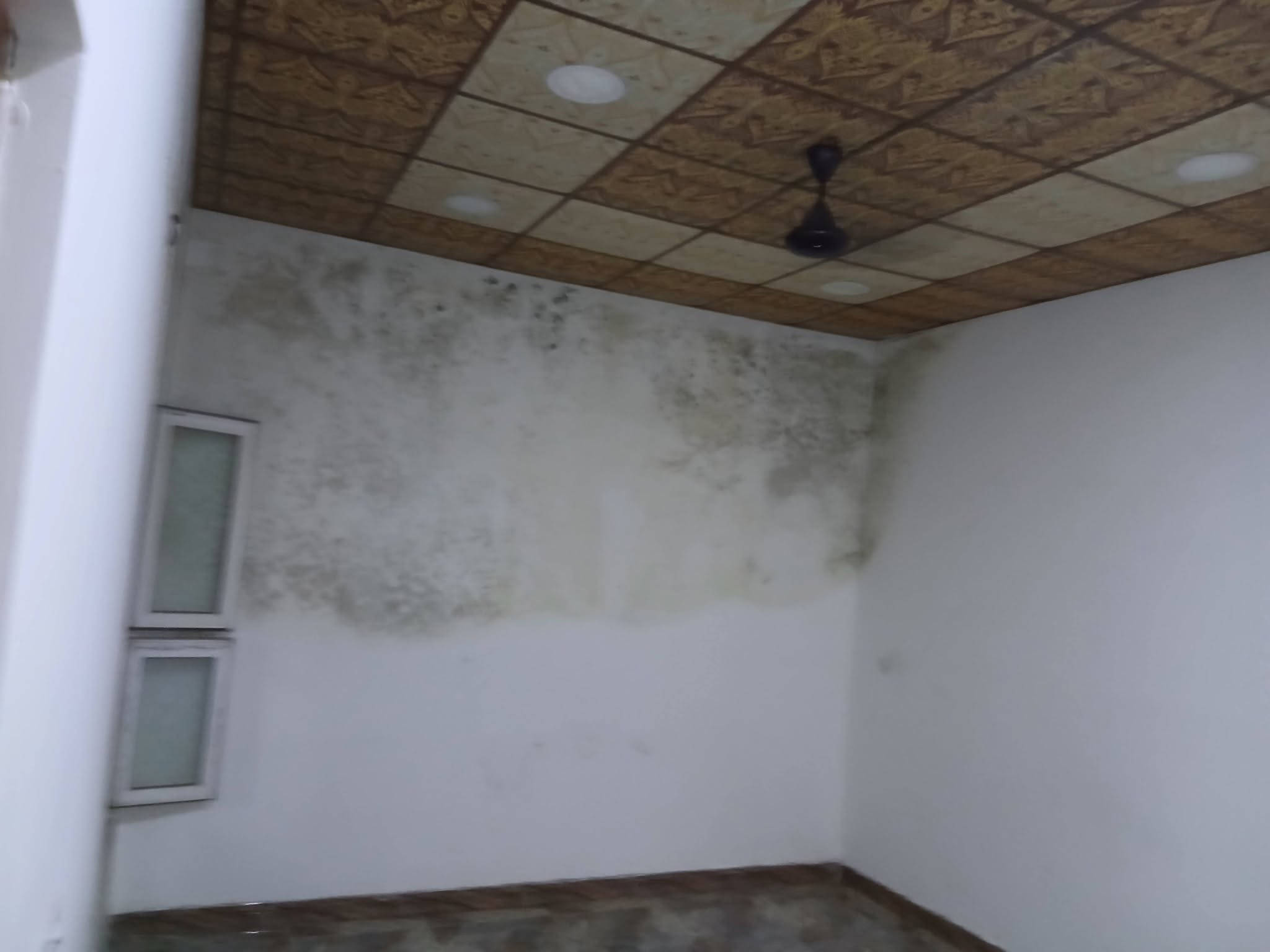 السلام عليكم مشتمل 100متر
في حي الدوانم  شارع المكاتب 
مقابيل عمارة الحمزة 
البيت مكون من استقبال وغرفه نوم 
ومطبخ مفتوح على الصالة ومنور داخلي
 وحمام داخلي وخارجي
 البيت  كراجه جبير ومخزن خارجي
السعر 48وبي مجال للأستفسار 
***********
***********
