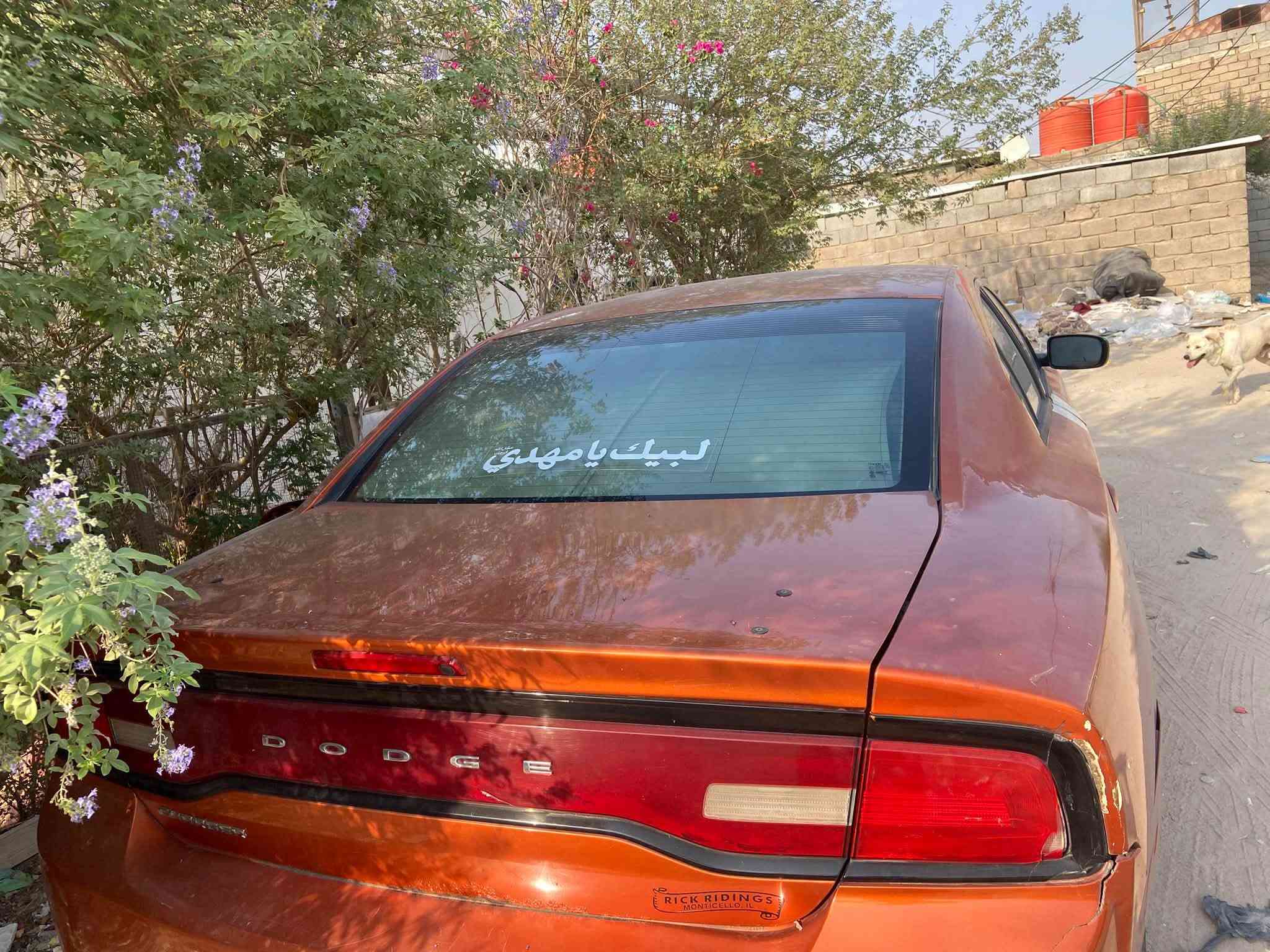 ٢٠١١ • مصبوغة • سنوية ٢٠٣٠