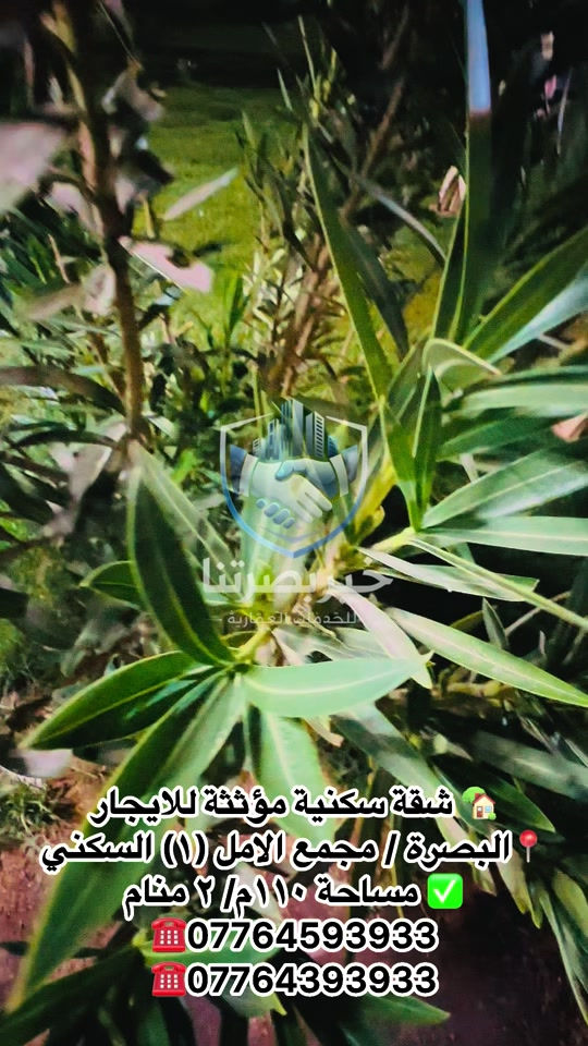 مجمع الأمل العباسية • ١١٠م • مؤثثة