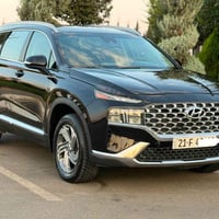 سنتافي 2022 • فول الفول • بانوراما جلد