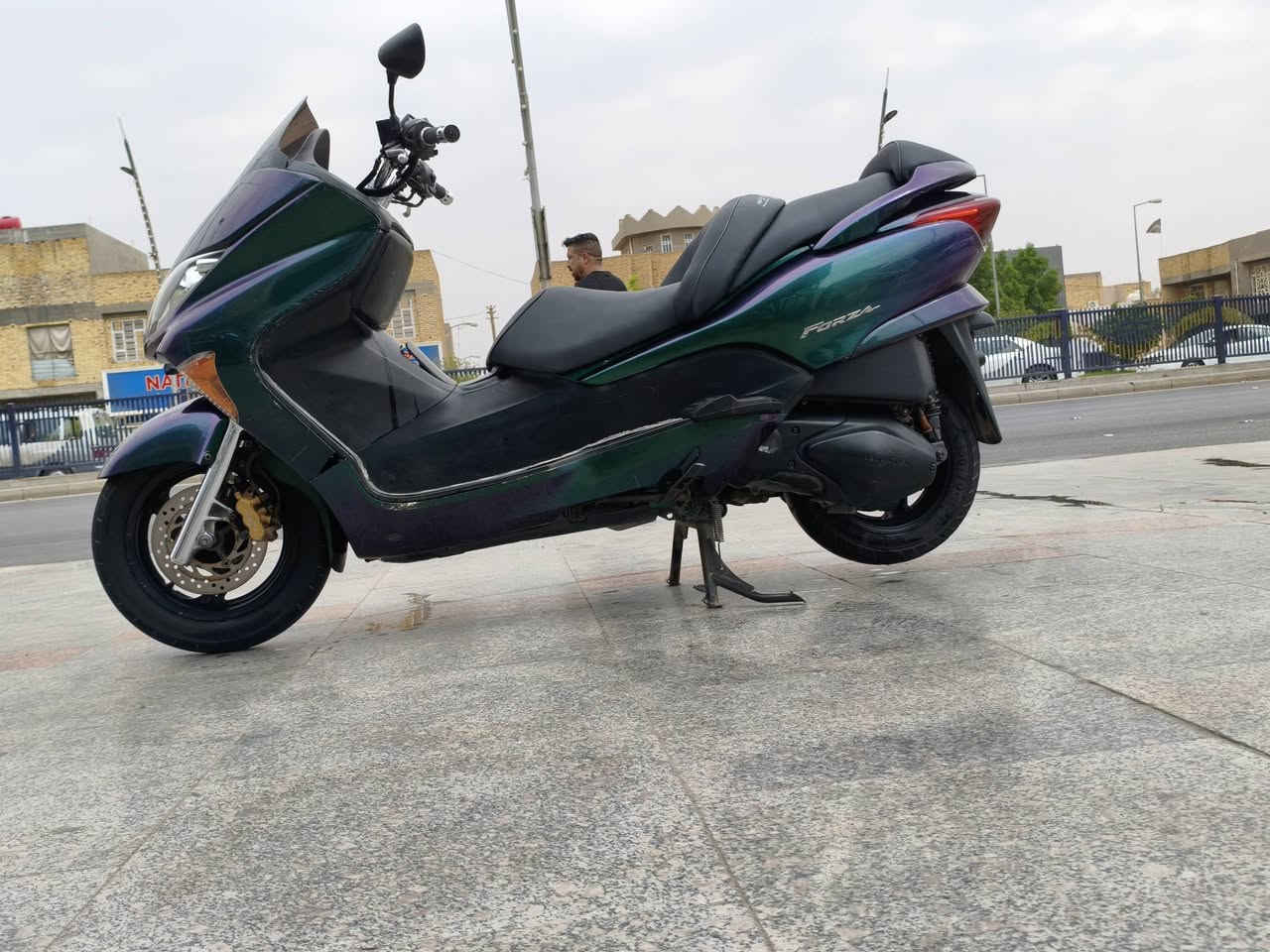 فورزه • مكفول محرك • زنون