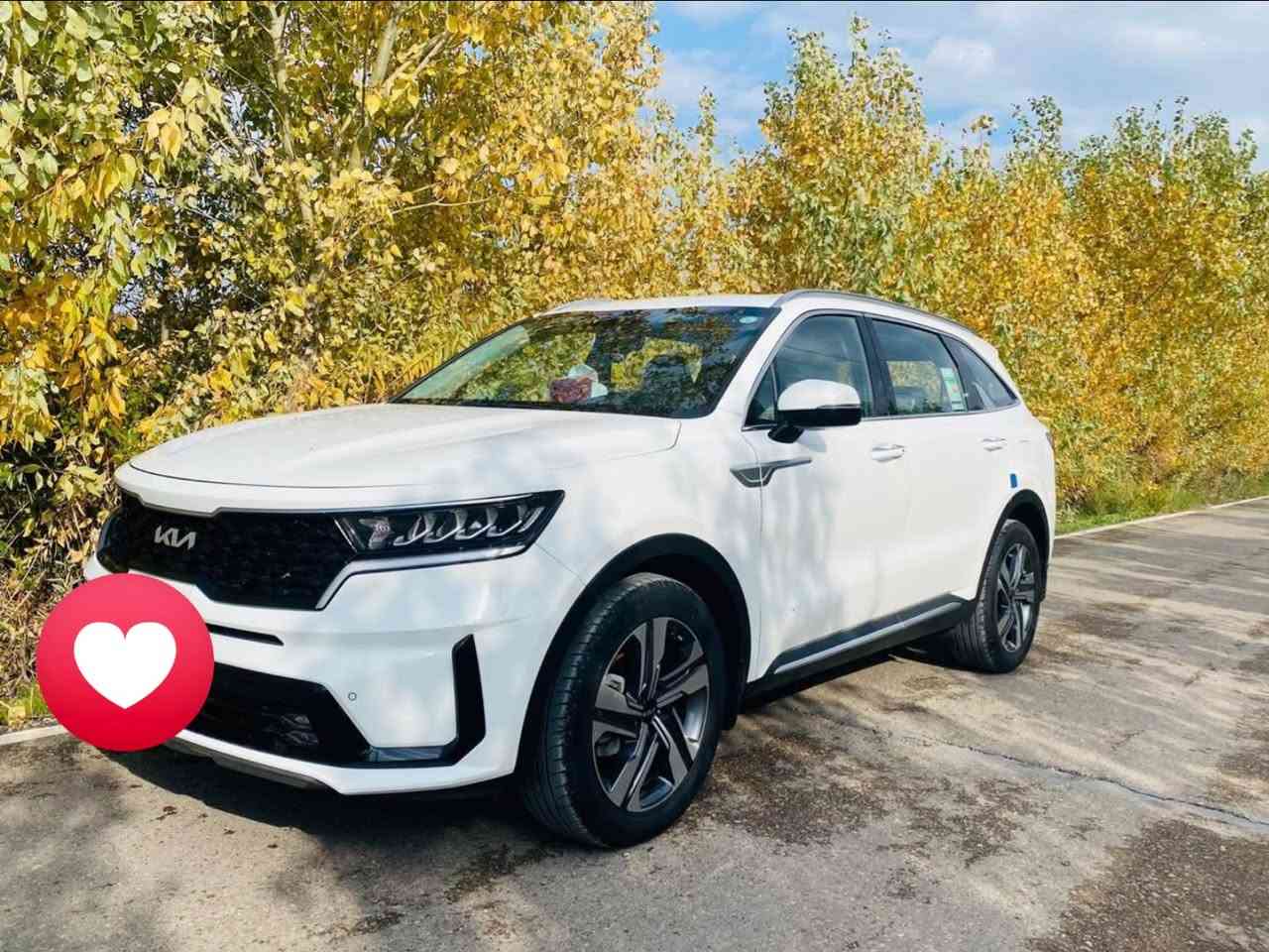 سلام عليكم.
للبيع Kia ￼ سورتنو موديل2023 (خليجي ) فول مواصفات ما عده البانوراما كير موس رقم أربيل بسمي تحويل ثاني يوم  السياره مكفوله من كلشي بس بارد بل باب جهت السايق مكان السياره ديالى بعقوبه 
*********** 
سعرها 265$ وبيها مجال بسيط
