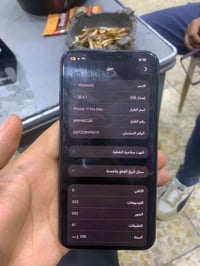 ٢٥٦ • زيتوني • مكفول