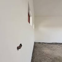 اسطه بياض • متفرغ