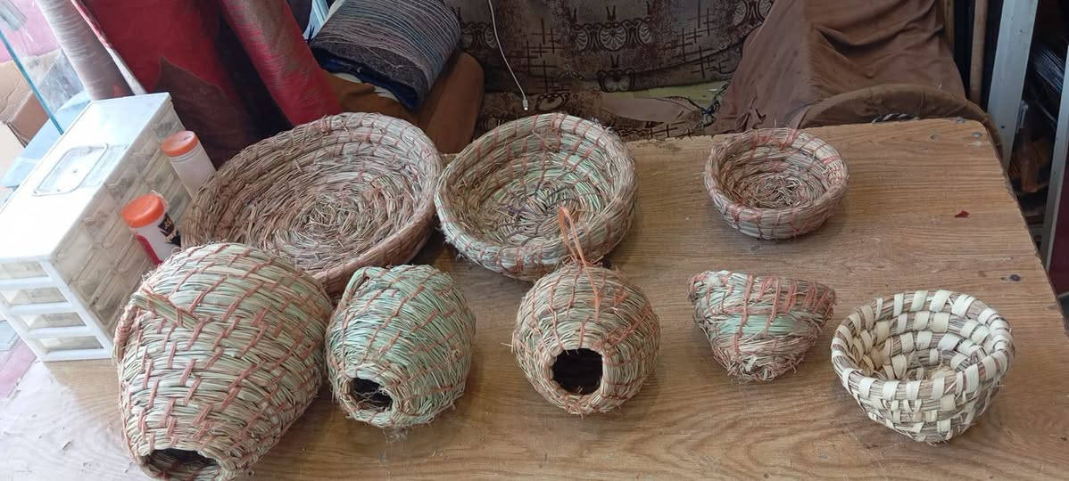 جمله ومفرد طوريج الرجيبه ***********
