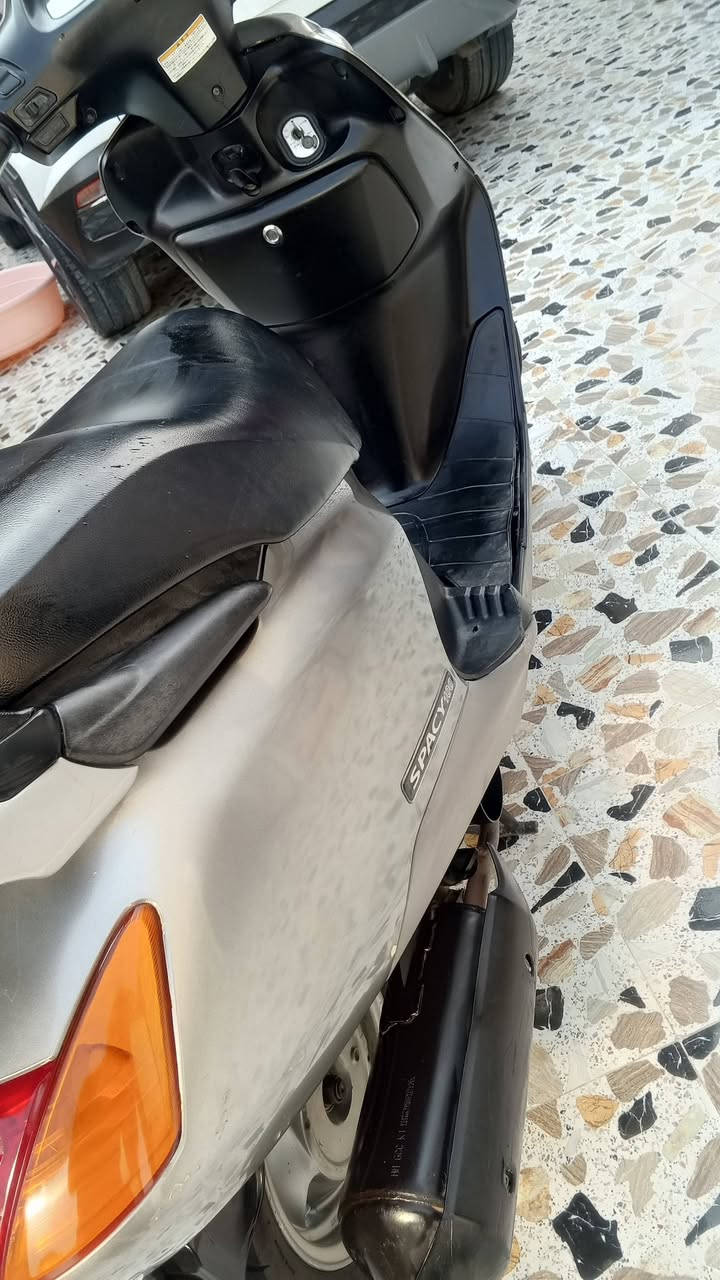سبيسي • ياباني • مكفوله