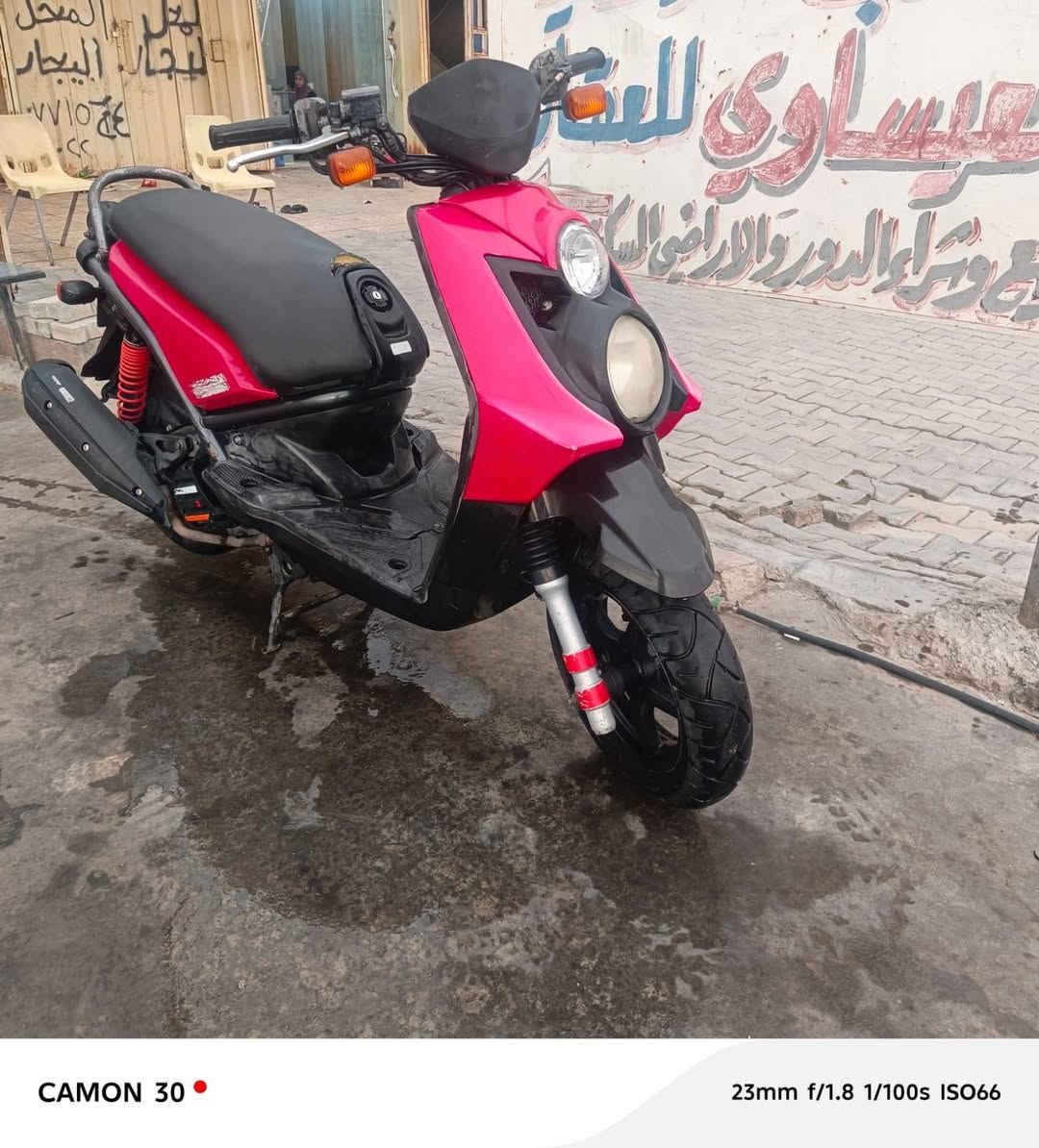 سكنس جبلي • مكفوله • مامفتوح