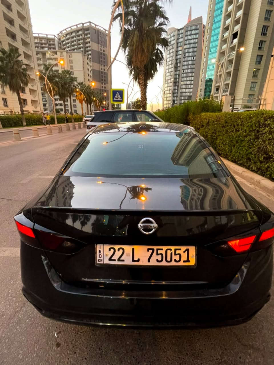 التيما SV • ٢٠٢١ • ٣ قطع صبغ